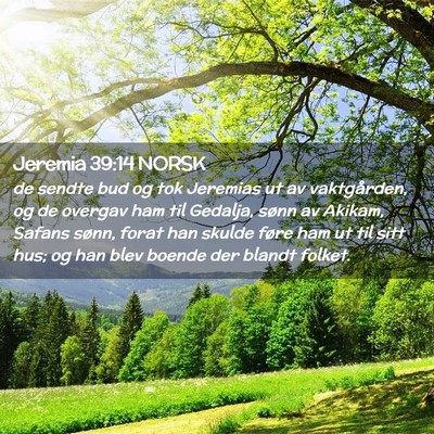 Picture 02 - Jeremia 39:14 NORSK - de sendte bud og tok Jeremias ut av vaktgården, - Bible Verse Picture