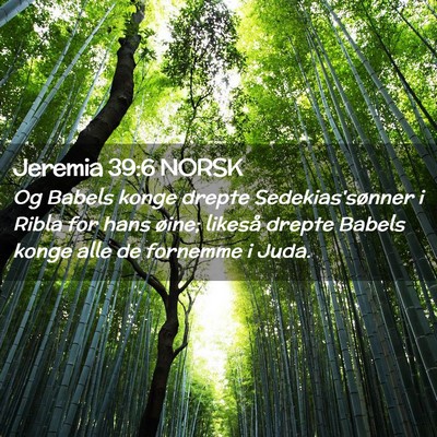 Picture 02 - Jeremia 39:6 NORSK - Og Babels konge drepte Sedekias'sønner i Ribla - Bible Verse Picture