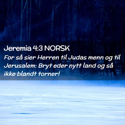 Picture 02 - Jeremia 4:3 NORSK - For så sier Herren til Judas menn og til - Bible Verse Picture