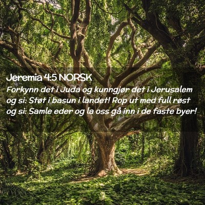 Picture 02 - Jeremia 4:5 NORSK - Forkynn det i Juda og kunngjør det i Jerusalem - Bible Verse Picture