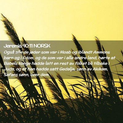 Picture 02 - Jeremia 40:11 NORSK - Også alle de jøder som var i Moab og iblandt - Bible Verse Picture