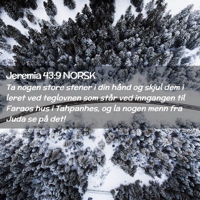 Picture 02 - Jeremia 43:9 NORSK - Ta nogen store stener i din hånd og skjul dem i - Bible Verse Picture