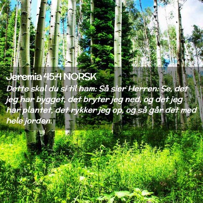 Picture 02 - Jeremia 45:4 NORSK - Dette skal du si til ham: Så sier Herren: Se, - Bible Verse Picture
