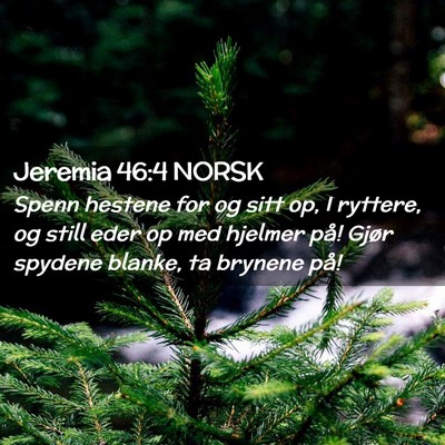 Picture 02 - Jeremia 46:4 NORSK - Spenn hestene for og sitt op, I ryttere, og still - Bible Verse Picture