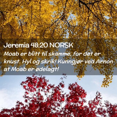 Picture 02 - Jeremia 48:20 NORSK - Moab er blitt til skamme, for det er knust. Hyl - Bible Verse Picture