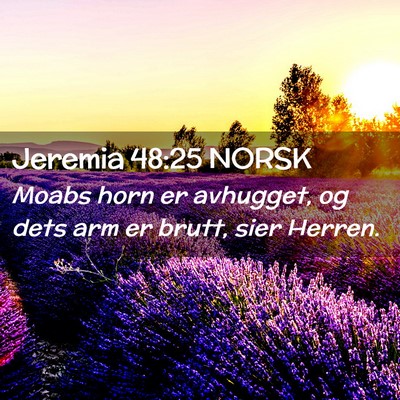 Picture 02 - Jeremia 48:25 NORSK - Moabs horn er avhugget, og dets arm er brutt, - Bible Verse Picture