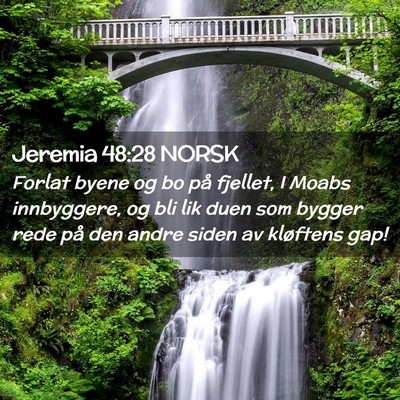 Picture 02 - Jeremia 48:28 NORSK - Forlat byene og bo på fjellet, I Moabs - Bible Verse Picture