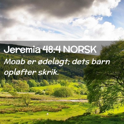 Picture 02 - Jeremia 48:4 NORSK - Moab er ødelagt; dets barn opløfter - Bible Verse Picture