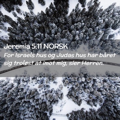 Picture 02 - Jeremia 5:11 NORSK - For Israels hus og Judas hus har båret sig - Bible Verse Picture