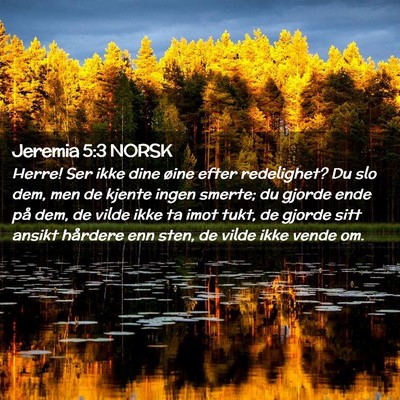 Picture 02 - Jeremia 5:3 NORSK - Herre! Ser ikke dine øine efter redelighet? Du - Bible Verse Picture