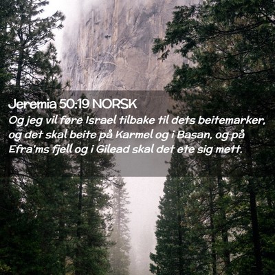 Picture 02 - Jeremia 50:19 NORSK - Og jeg vil føre Israel tilbake til dets - Bible Verse Picture