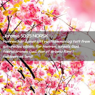 Picture 02 - Jeremia 50:25 NORSK - Herren har åpnet sitt rustkammer og tatt frem - Bible Verse Picture