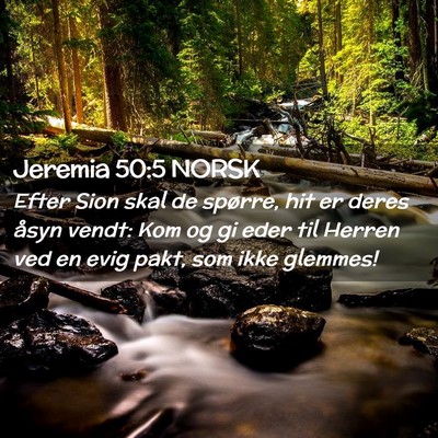 Picture 02 - Jeremia 50:5 NORSK - Efter Sion skal de spørre, hit er deres åsyn - Bible Verse Picture