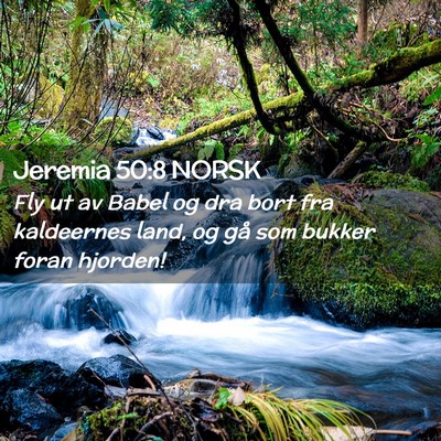 Picture 02 - Jeremia 50:8 NORSK - Fly ut av Babel og dra bort fra kaldeernes land, - Bible Verse Picture
