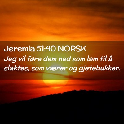 Picture 02 - Jeremia 51:40 NORSK - Jeg vil føre dem ned som lam til å slaktes, som - Bible Verse Picture