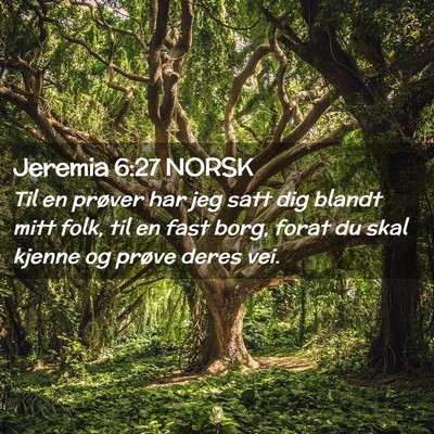 Picture 02 - Jeremia 6:27 NORSK - Til en prøver har jeg satt dig blandt mitt folk, - Bible Verse Picture
