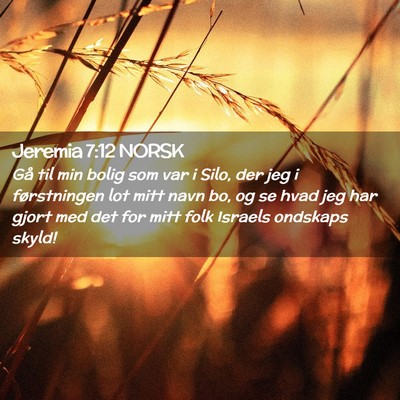 Picture 02 - Jeremia 7:12 NORSK - Gå til min bolig som var i Silo, der jeg i - Bible Verse Picture
