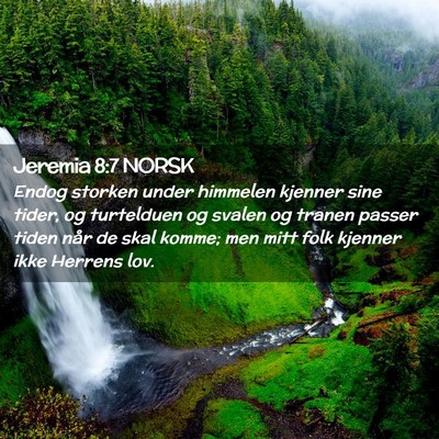 Picture 02 - Jeremia 8:7 NORSK - Endog storken under himmelen kjenner sine tider, - Bible Verse Picture