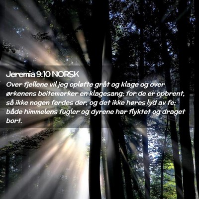 Picture 02 - Jeremia 9:10 NORSK - Over fjellene vil jeg opløfte gråt og klage og - Bible Verse Picture