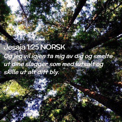 Picture 02 - Jesaja 1:25 NORSK - Og jeg vil igjen ta mig av dig og smelte ut dine - Bible Verse Picture