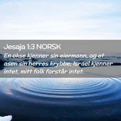 Picture 02 - Jesaja 1:3 NORSK - En okse kjenner sin eiermann, og et asen sin - Bible Verse Picture