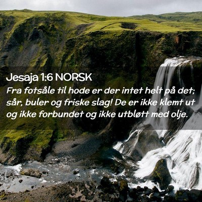 Picture 02 - Jesaja 1:6 NORSK - Fra fotsåle til hode er der intet helt på det; - Bible Verse Picture