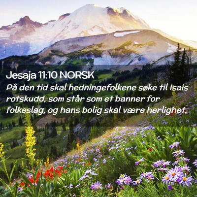 Picture 02 - Jesaja 11:10 NORSK - På den tid skal hedningefolkene søke til Isais - Bible Verse Picture