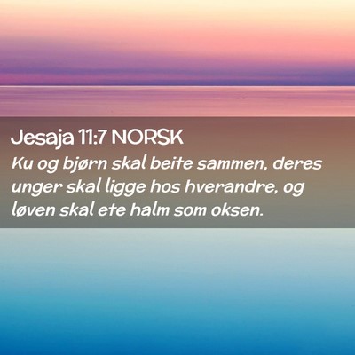Picture 02 - Jesaja 11:7 NORSK - Ku og bjørn skal beite sammen, deres unger skal - Bible Verse Picture