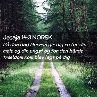 Picture 02 - Jesaja 14:3 NORSK - På den dag Herren gir dig ro for din møie og - Bible Verse Picture