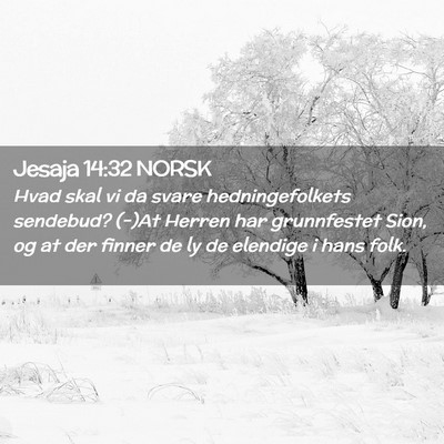Picture 02 - Jesaja 14:32 NORSK - Hvad skal vi da svare hedningefolkets sendebud? - Bible Verse Picture