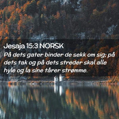 Picture 02 - Jesaja 15:3 NORSK - På dets gater binder de sekk om sig; på dets - Bible Verse Picture
