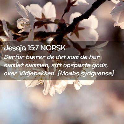 Picture 02 - Jesaja 15:7 NORSK - Derfor bærer de det som de har samlet sammen, - Bible Verse Picture