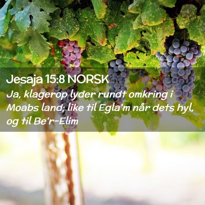 Picture 02 - Jesaja 15:8 NORSK - Ja, klagerop lyder rundt omkring i Moabs land; - Bible Verse Picture