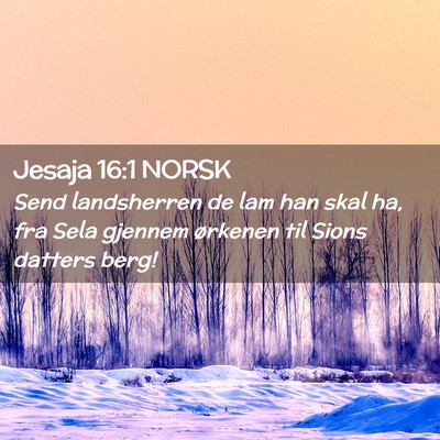 Picture 02 - Jesaja 16:1 NORSK - Send landsherren de lam han skal ha, fra Sela - Bible Verse Picture