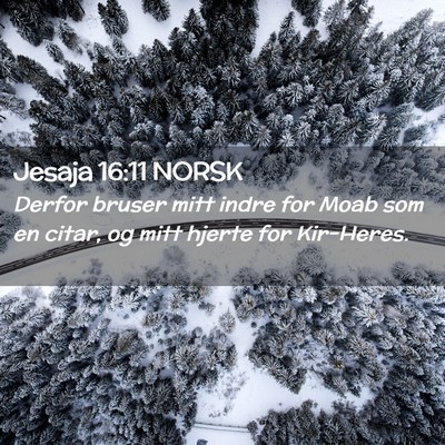 Picture 02 - Jesaja 16:11 NORSK - Derfor bruser mitt indre for Moab som en citar, - Bible Verse Picture