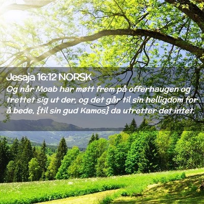 Picture 02 - Jesaja 16:12 NORSK - Og når Moab har møtt frem på offerhaugen og - Bible Verse Picture