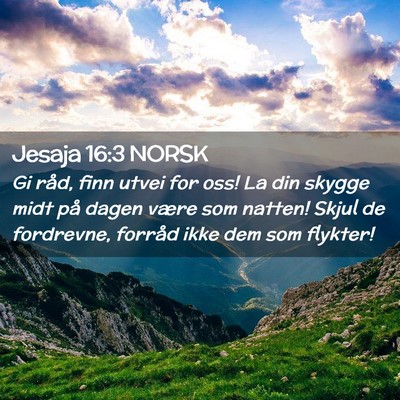 Picture 02 - Jesaja 16:3 NORSK - Gi råd, finn utvei for oss! La din skygge midt - Bible Verse Picture