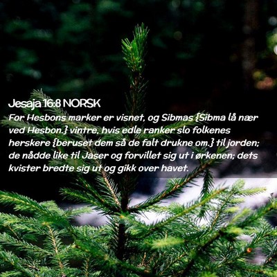 Picture 02 - Jesaja 16:8 NORSK - For Hesbons marker er visnet, og Sibmas {Sibma - Bible Verse Picture