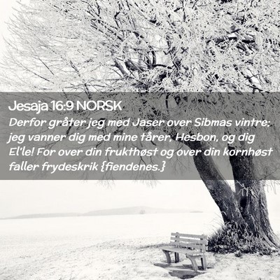 Picture 02 - Jesaja 16:9 NORSK - Derfor gråter jeg med Jaser over Sibmas vintre; - Bible Verse Picture