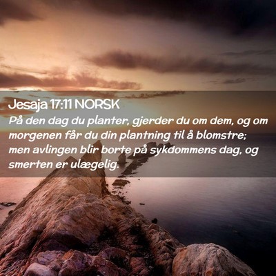 Picture 02 - Jesaja 17:11 NORSK - På den dag du planter, gjerder du om dem, og om - Bible Verse Picture