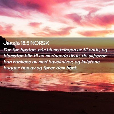 Picture 02 - Jesaja 18:5 NORSK - For før høsten, når blomstringen er til ende, - Bible Verse Picture