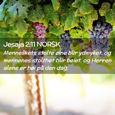 Picture 02 - Jesaja 2:11 NORSK - Menneskets stolte øine blir ydmyket, og mennenes - Bible Verse Picture