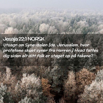 Picture 02 - Jesaja 22:1 NORSK - Utsagn om Syne-dalen {de. Jerusalem, hvor - Bible Verse Picture