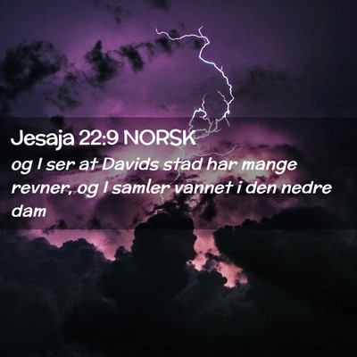 Picture 02 - Jesaja 22:9 NORSK - og I ser at Davids stad har mange revner, og I - Bible Verse Picture