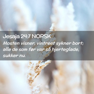 Picture 02 - Jesaja 24:7 NORSK - Mosten visner, vintreet sykner bort; alle de som - Bible Verse Picture