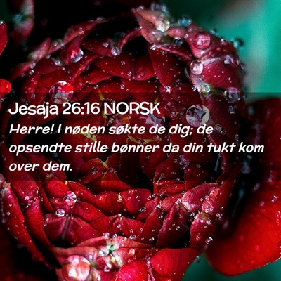 Picture 02 - Jesaja 26:16 NORSK - Herre! I nøden søkte de dig; de opsendte stille - Bible Verse Picture