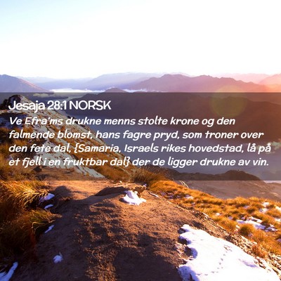 Picture 02 - Jesaja 28:1 NORSK - Ve Efra'ms drukne menns stolte krone og den - Bible Verse Picture