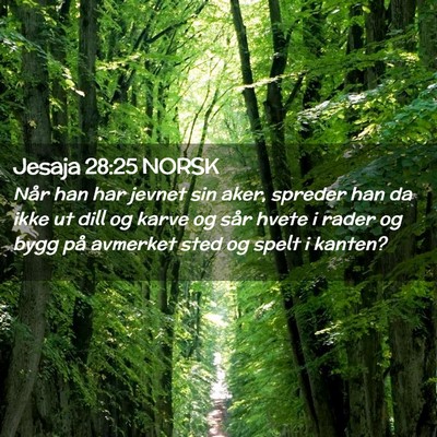 Picture 02 - Jesaja 28:25 NORSK - Når han har jevnet sin aker, spreder han da ikke - Bible Verse Picture