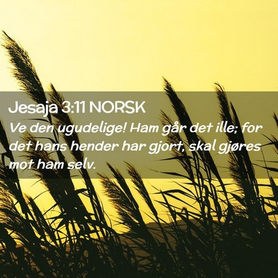 Picture 02 - Jesaja 3:11 NORSK - Ve den ugudelige! Ham går det ille; for det hans - Bible Verse Picture