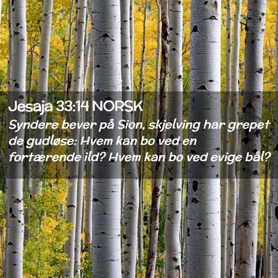 Picture 02 - Jesaja 33:14 NORSK - Syndere bever på Sion, skjelving har grepet de - Bible Verse Picture